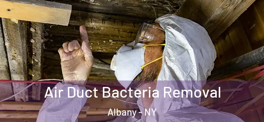  Air Duct Bacteria Removal Albany - NY
