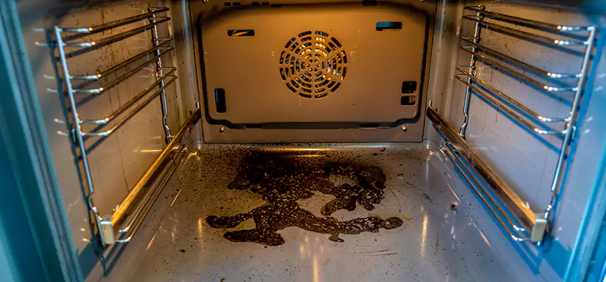 Our Dryer Vent Mold Cleaning Services in Albany, NY