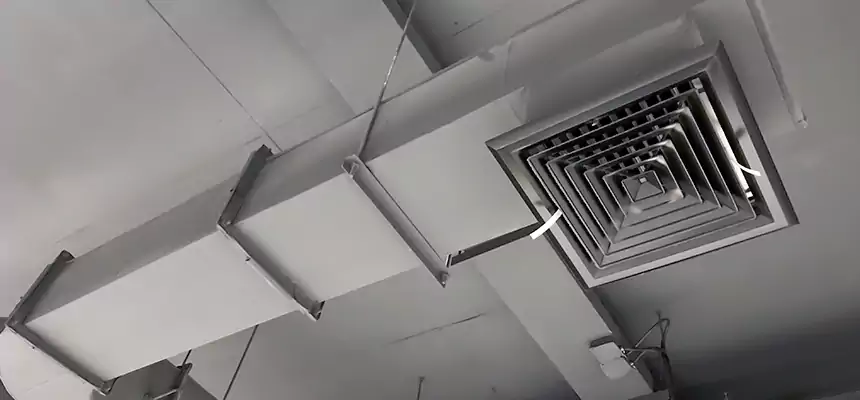 Our Pest Removal From Ducts Services in Albany, NY