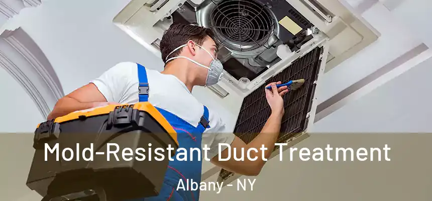 Mold-Resistant Duct Treatment Albany - NY