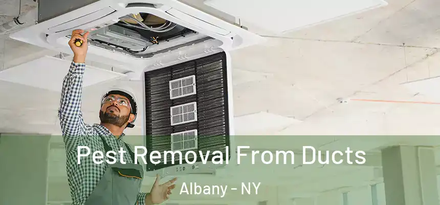  Pest Removal From Ducts Albany - NY