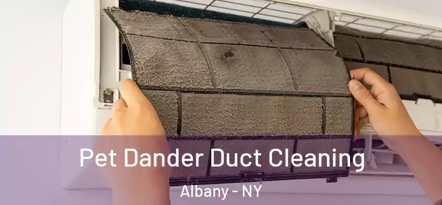 Pet Dander Duct Cleaning Albany - NY