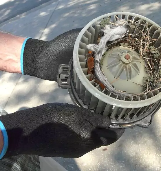 About Air Duct Mice Removal in Albany, NY