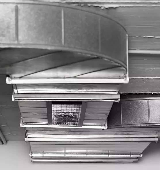 Professional Air Duct Pest Removal in Albany, NY