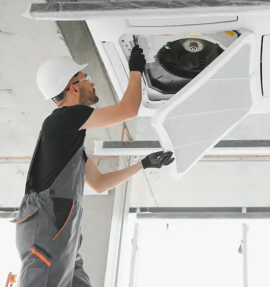 About Air Duct Rodent Removal in Albany, NY