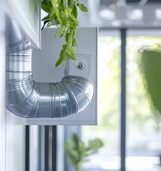 Professional Eco-Safe Dryer Vent Cleaning in Albany, NY