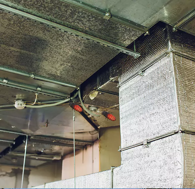 Why Homeowners & Businesses Trust Us in Albany, NY?