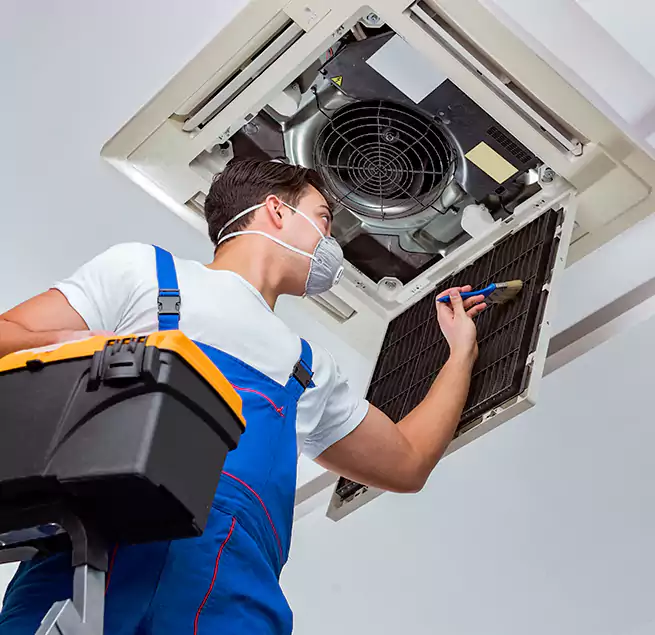 Why Homeowners & Businesses Trust Us in Albany, NY