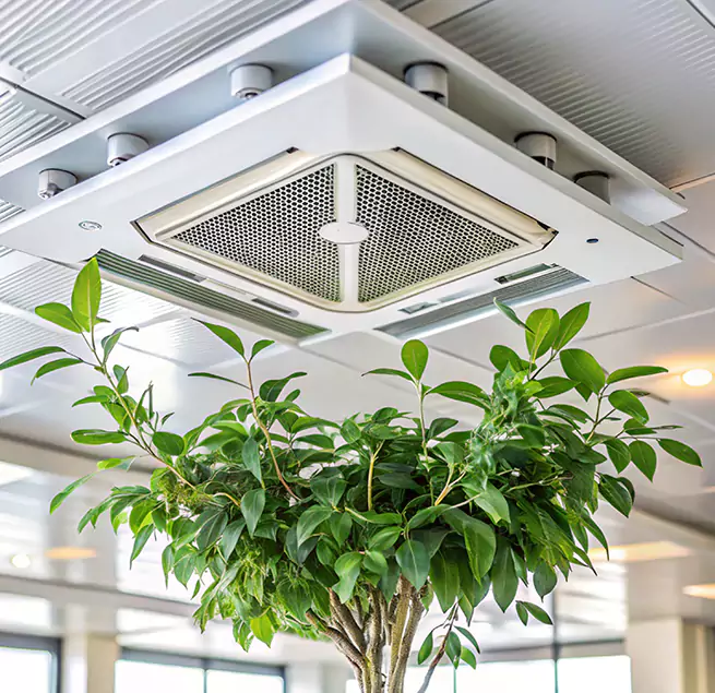 Why Homeowners & Businesses Trust Us in Albany, NY