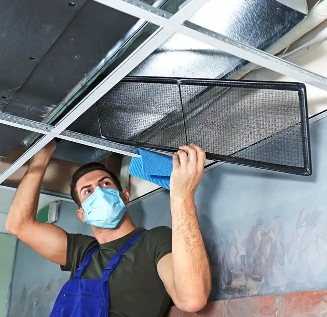 Why Homeowners & Businesses Trust Us in Albany, NY?