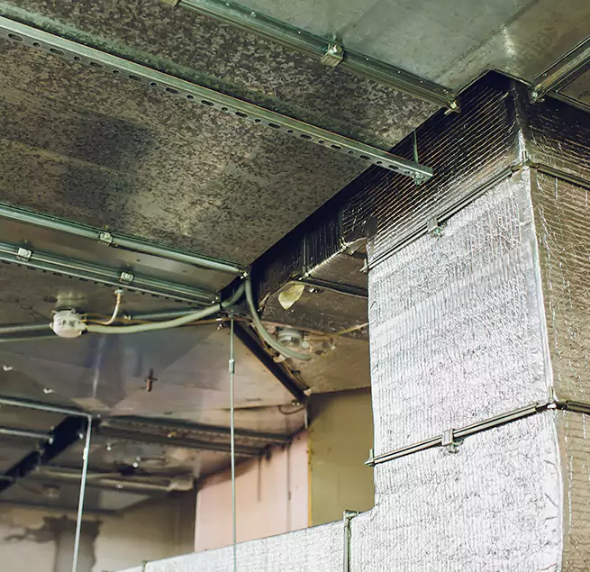 Why Homeowners & Businesses Trust Us in Albany, NY?