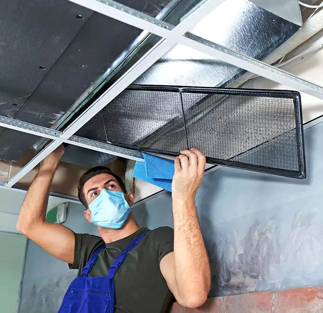 Why Homeowners & Businesses Trust Us in Albany, NY?